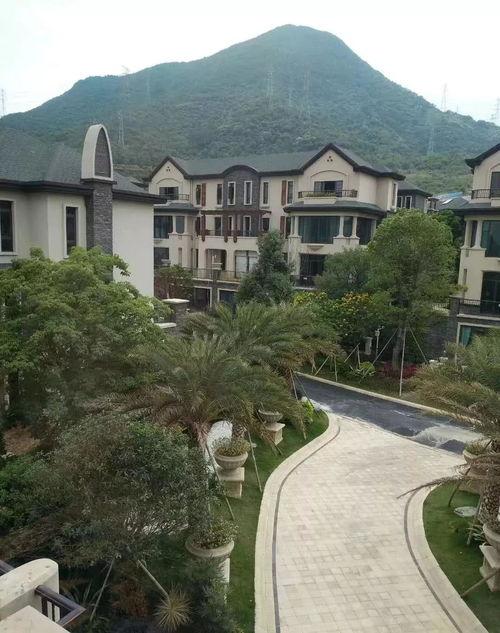 恒哥最新爆料电话,揭秘电话背后的惊人内幕  第2张