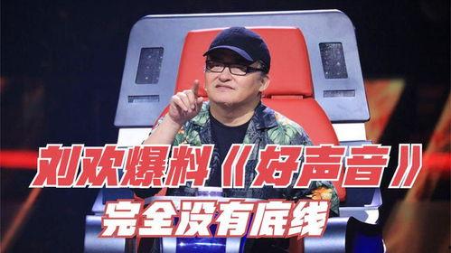 最新爆料好声音完整版,巅峰对决，独家完整版幕后揭秘  第1张